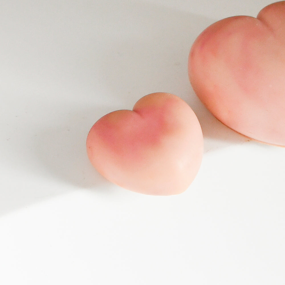 Printemps d'Ispahan